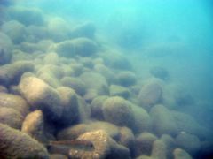 FindNemo02.jpg