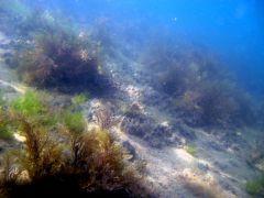 FindNemo04.jpg