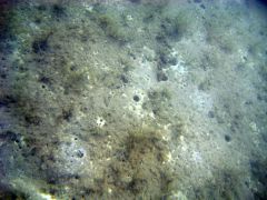 Фото сделанные на море