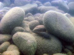 FindNemo03.jpg