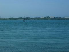 IMG_4303.JPG