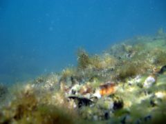 Фото сделанные на море