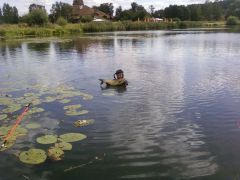 амурчик 6 кг