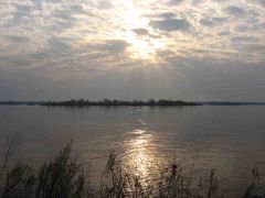 Предрыбное утро на Волге