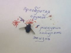 Террористка