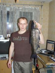 25.10.2009 Первый в жизни толстолобик..