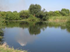 Одно из мест реки Горынь