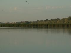 PICT0036.JPG