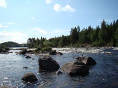 DSC07148.JPG
