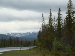 DSC07102.JPG