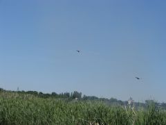 PB211313.JPG