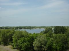 Астраханская область, Енотаевский район, село Федоровка.