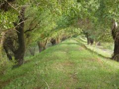 Астраханская область, Енотаевский район, село Федоровка.