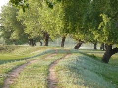 Астраханская область, Енотаевский район, с.Федоровка.
