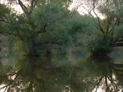 P1020124.JPG