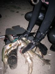 IMG_27401.jpg