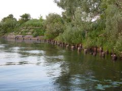 Луховицкий район р. Ока.