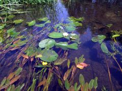 DSCF2930.jpg