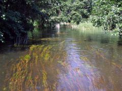 DSCF2905.jpg