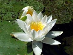 DSCF2915.jpg