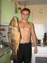 DSC08298.JPG