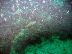 IMG_3166.JPG