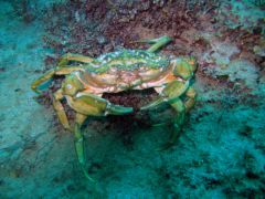 IMG_3163.JPG