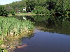 DSCF2754.jpg