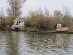 IMG_0789.jpg