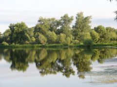 летнее утро на одной из проток