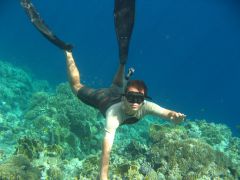 IMG_7465_.jpg