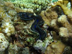 IMG_7368_.jpg