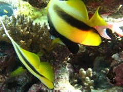 IMG_7358_.jpg