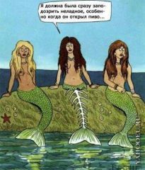 Ошиблась