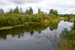 DSC_9352.jpg