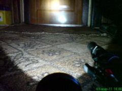 DSC00397.JPG