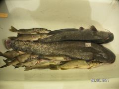 PICT9089.JPG