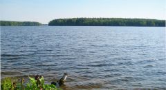 IMG_1987.jpg