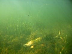 2007_09220107.JPG