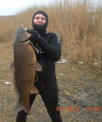 Сазан 11.5кг Даргостан-2012