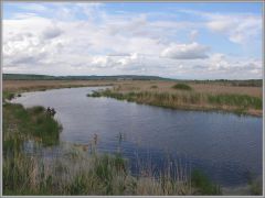 "Рыбная" река...