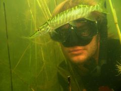 IMG_7432.jpg