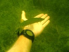 IMG_7448.jpg