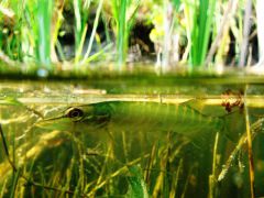 IMG_7584.jpg