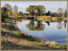 Парковое озеро(6)