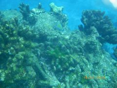 IMGP4366.JPG