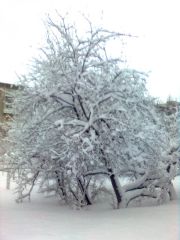 Весна в Смоленске