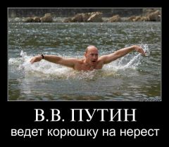 улыбнуло