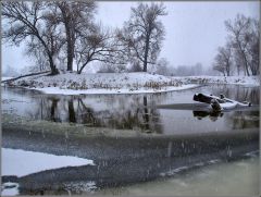 Шел снежок (1)