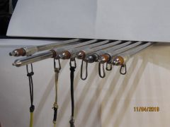 IMG 3881